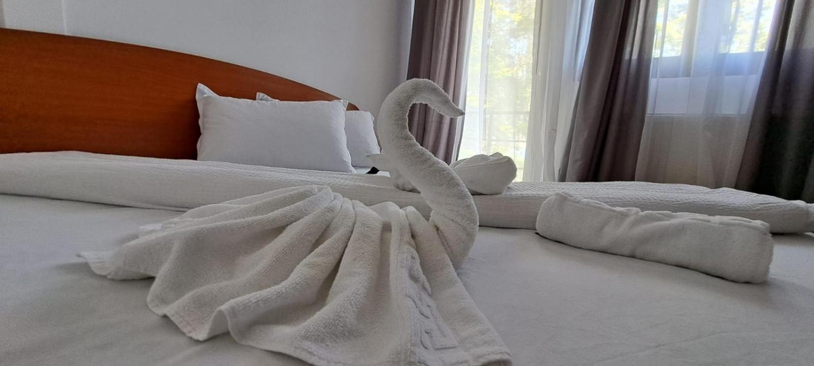 Hotel Pescarus Port Bicaz Ngoại thất bức ảnh